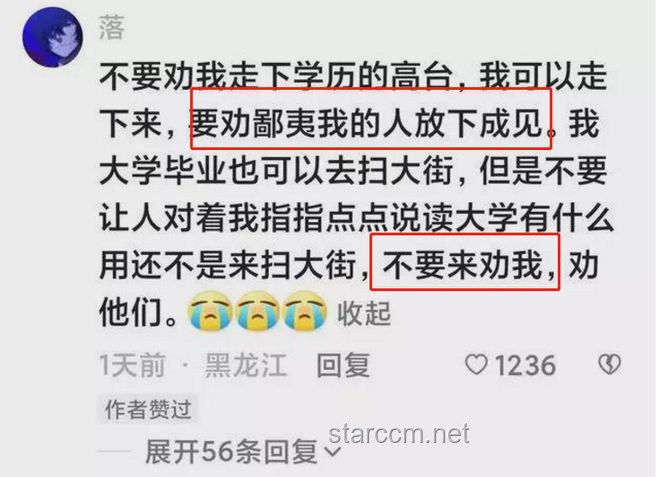 “孔乙己式身份错位”的个案研究：自我认知与社会标签的冲突与和解